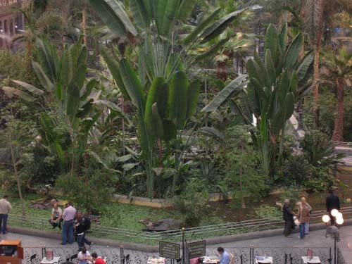 002 Madrid train station