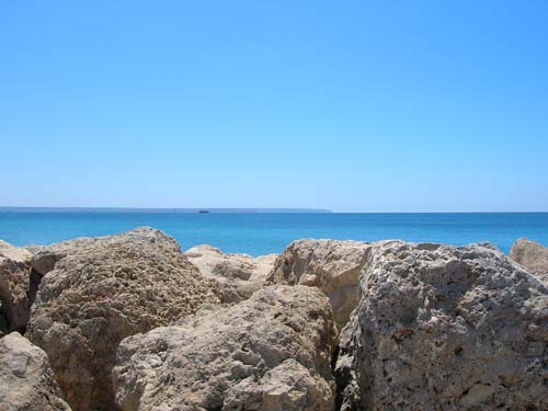 293 Palma di Mallorca